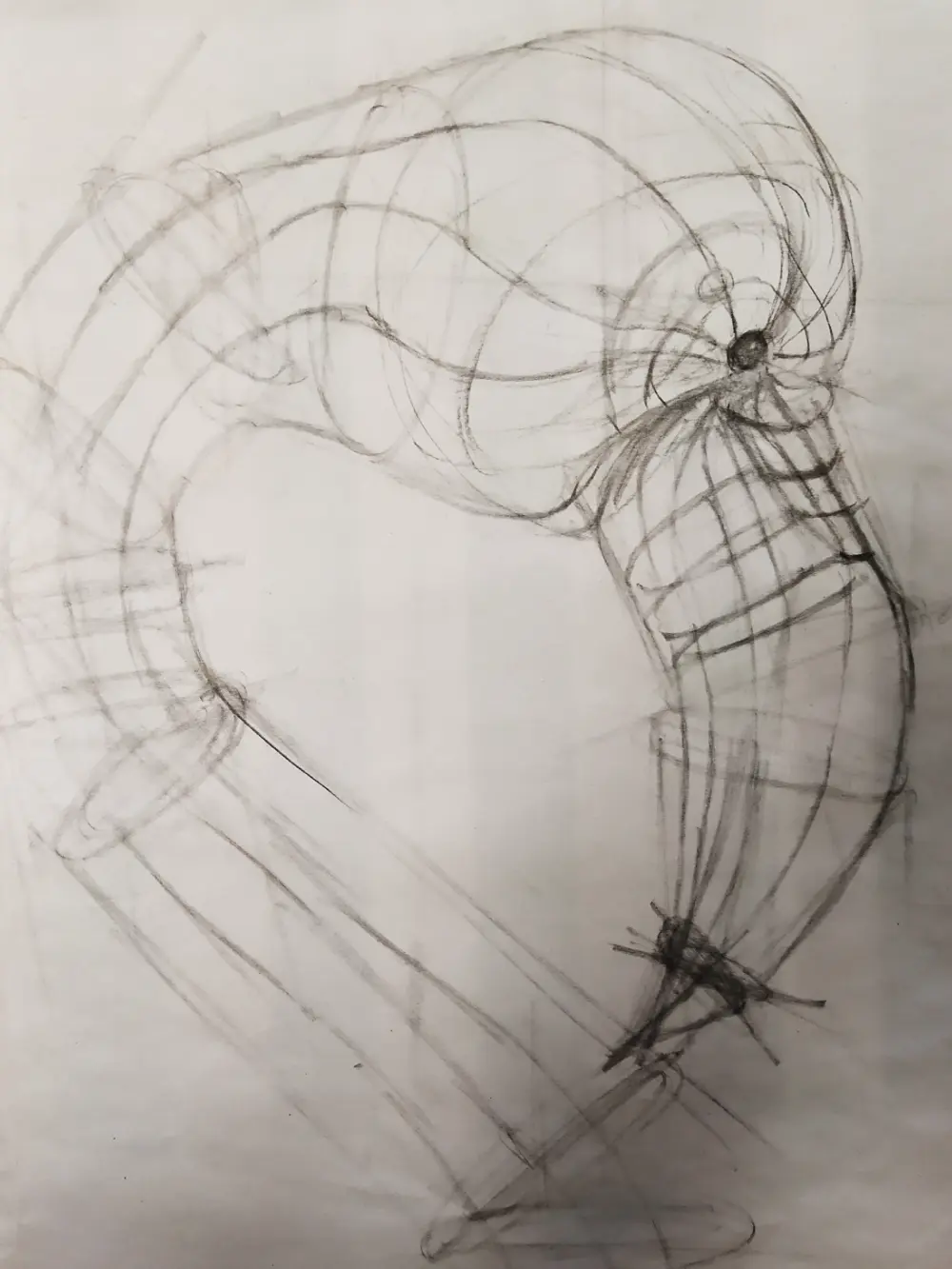 Home Un dessin illustrant le cours sur les contours de volume